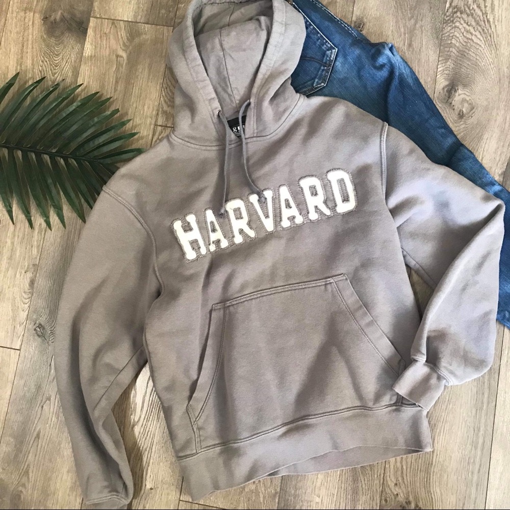 Big Cotton Harvard Hooded Sweater